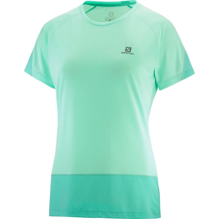 Camiseta Salomon Cross Run Curta Sleeve Feminino Turquesa | PT F79105